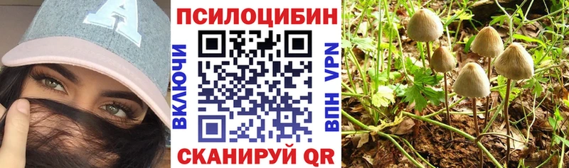 Купить где  Наволоки  Галлюциногенные грибы Psilocybine cubensis 